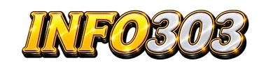 INFO303 Logo